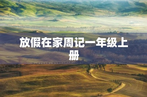 放假在家周记一年级上册
