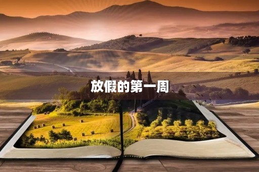 放假的第一周 放假的第一周