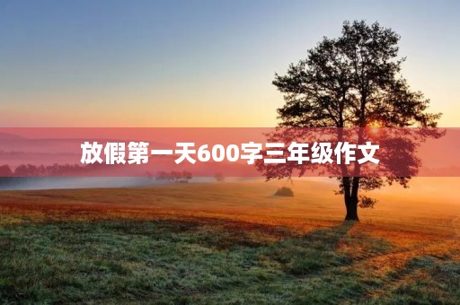 放假第一天600字三年级作文