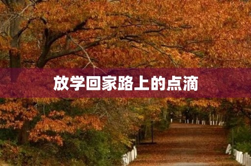 放学回家路上的点滴