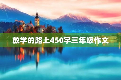 放学的路上450字三年级作文