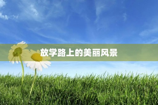 放学路上的美丽风景 放学路上的美丽风景
