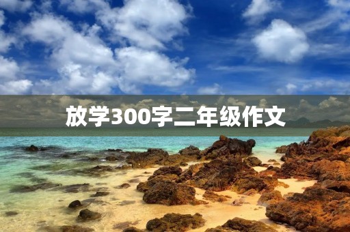 放学300字二年级作文