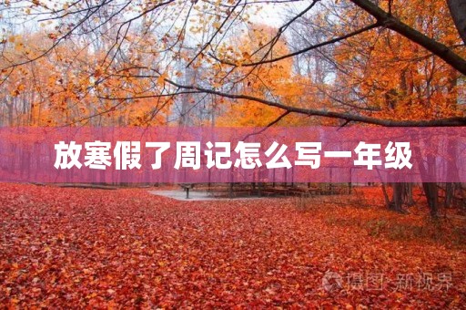 放寒假了周记怎么写一年级 放寒假了周记怎么写一年级