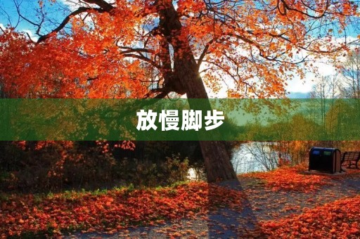 放慢脚步，感受生活的美好
