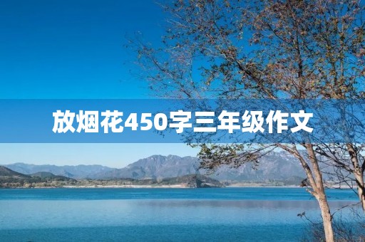 放烟花450字三年级作文