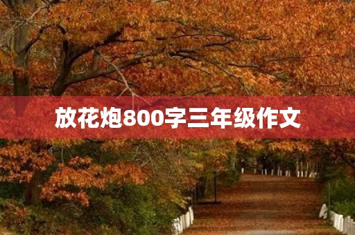 放花炮800字三年级作文 放花炮800字三年级作文