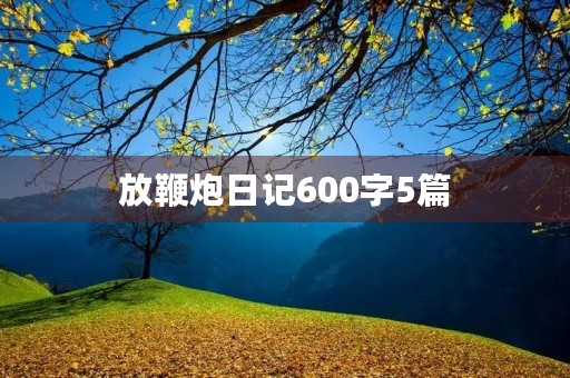 放鞭炮日记600字5篇