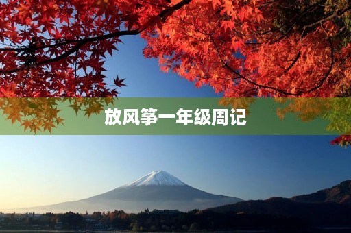 放风筝一年级周记