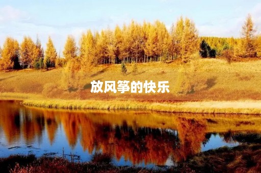 放风筝的快乐 放风筝的快乐
