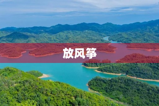 放风筝 放风筝
