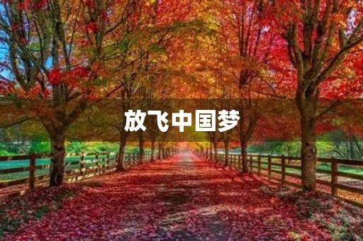 放飞中国梦,共筑伟大复兴 放飞中国梦,共筑伟大复兴