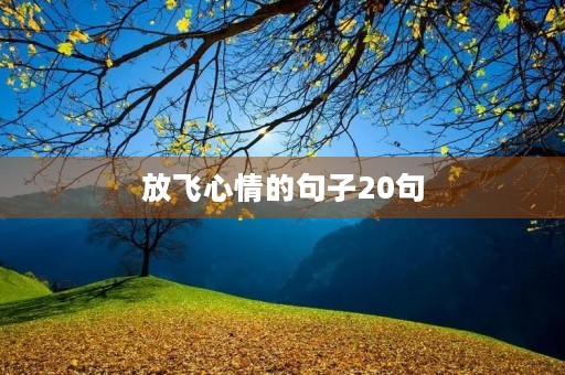 放飞心情的句子20句，放飞心情,享受生活的美好与乐趣