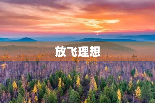 放飞理想，实现梦想