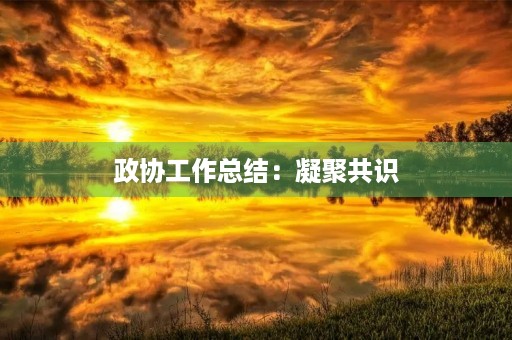 政协工作总结：凝聚共识，建言献策