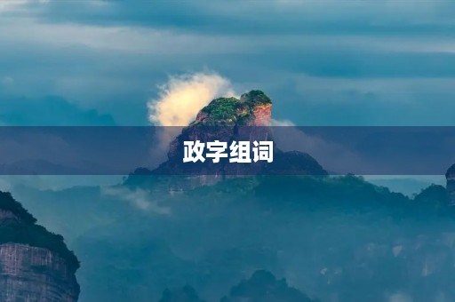 政字组词(政组词) 政字组词(政组词)