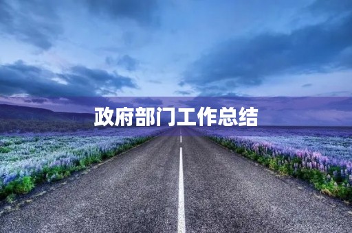 政府部门工作总结