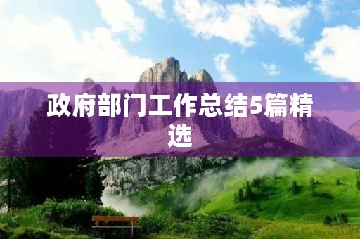 政府部门工作总结5篇精选