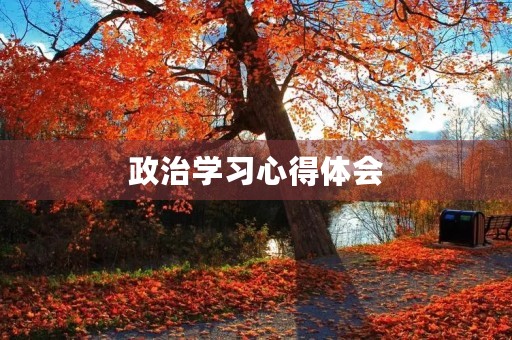 政治学习心得体会
