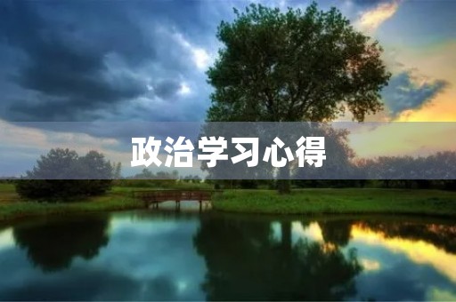 政治学习心得 政治学习心得