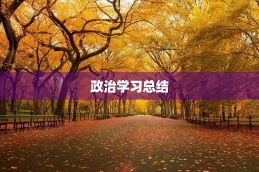 政治学习总结 政治学习总结