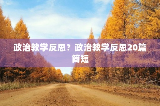 政治教学反思?政治教学反思20篇简短 政治教学反思?政治教学反思20篇简短