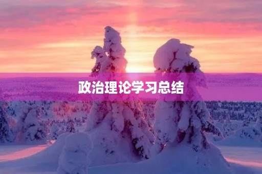 政治理论学习总结