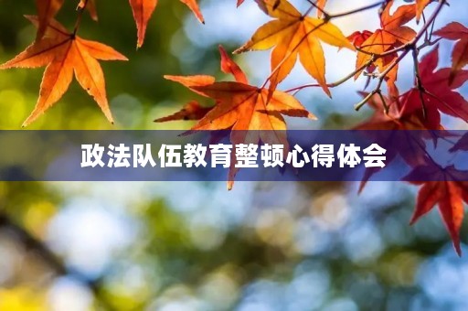 政法队伍教育整顿心得体会