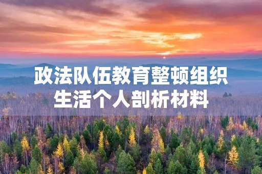 政法队伍教育整顿组织生活个人剖析材料