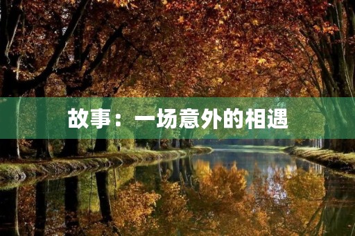 故事:一场意外的相遇 故事:一场意外的相遇