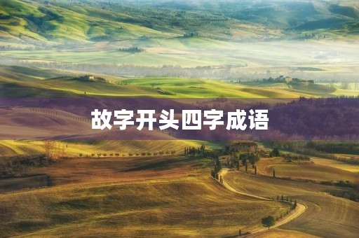 故字开头四字成语