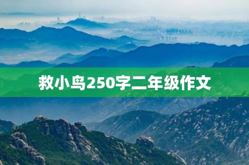 救小鸟250字二年级作文