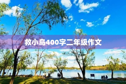 救小鸟400字二年级作文