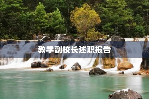 教学副校长述职报告