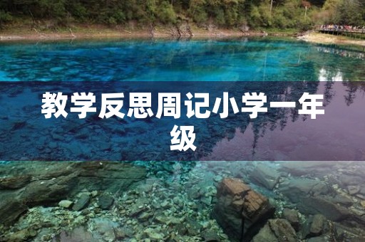 教学反思周记小学一年级 教学反思周记小学一年级