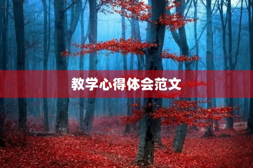 教学心得体会范文