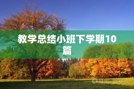 教学总结小班下学期10篇