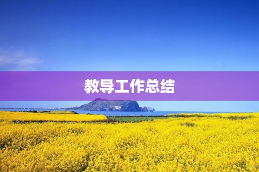 教导工作总结 教导工作总结
