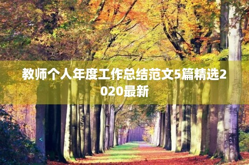 教师个人年度工作总结范文5篇精选2020最新