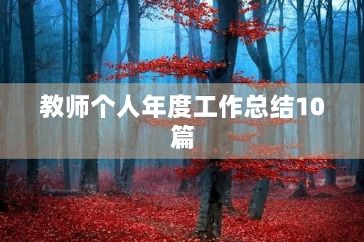教师个人年度工作总结10篇