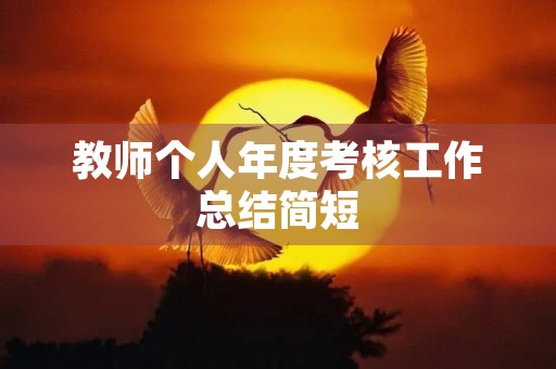 教师个人年度考核工作总结简短