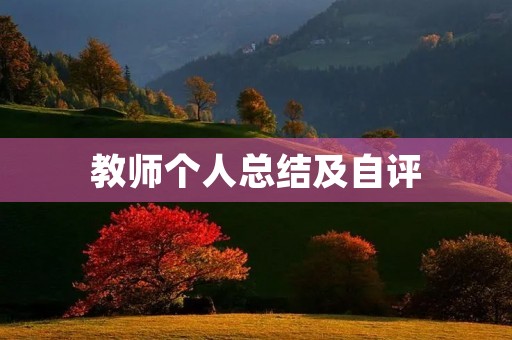 教师个人总结及自评