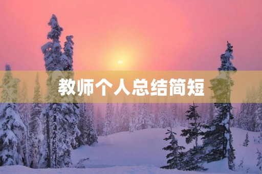 教师个人总结简短
