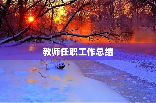 教师任职工作总结