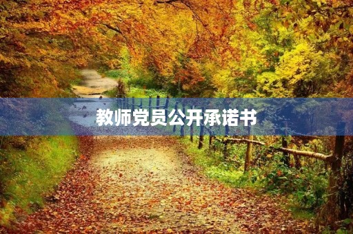 教师党员公开承诺书