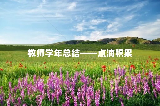 教师学年总结——点滴积累，成就辉煌