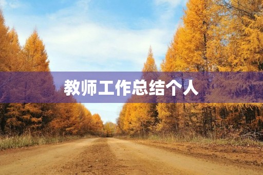 教师工作总结个人