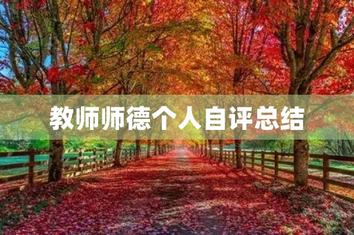 教师师德个人自评总结