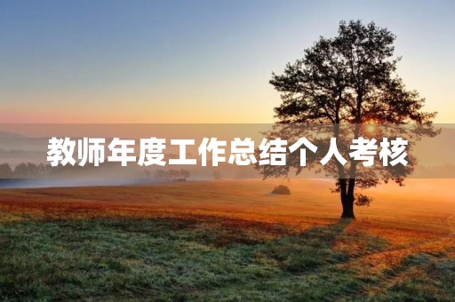 教师年度工作总结个人考核
