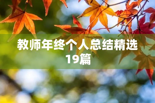 教师年终个人总结精选19篇